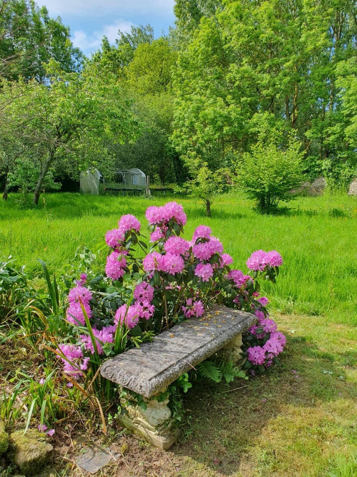 Quévert La Guyonnais B&B 외부 사진